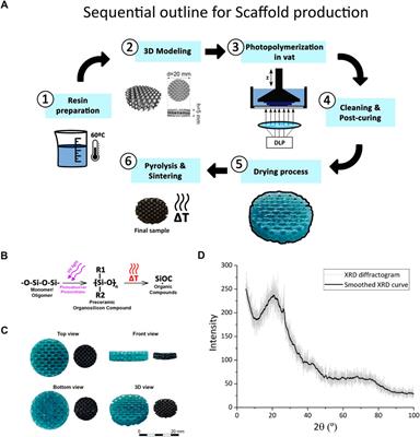 Cytocompatible and osteoconductive silicon oxycarbide glass scaffolds 3D printed by DLP: a potential material for bone tissue regeneration